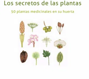 Libro Los secretos de las plantas en pdf 50 plantas medicinales en su huerta